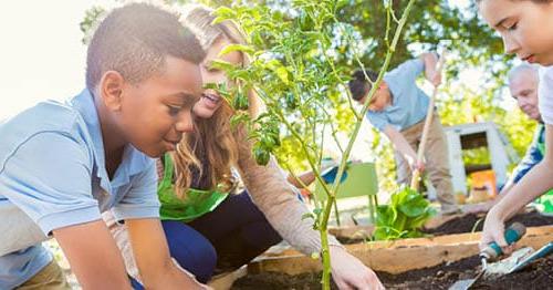 A parent and child gardening together.